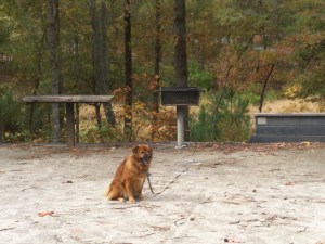 J Strom Thurmond Rec Area